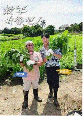 资讯配图：字幕轴抽检工作台与时间码条